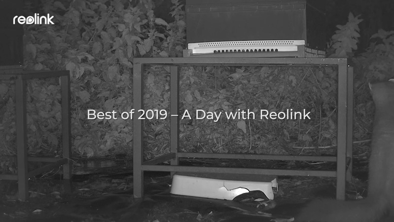 Reolink记录的生活瞬间